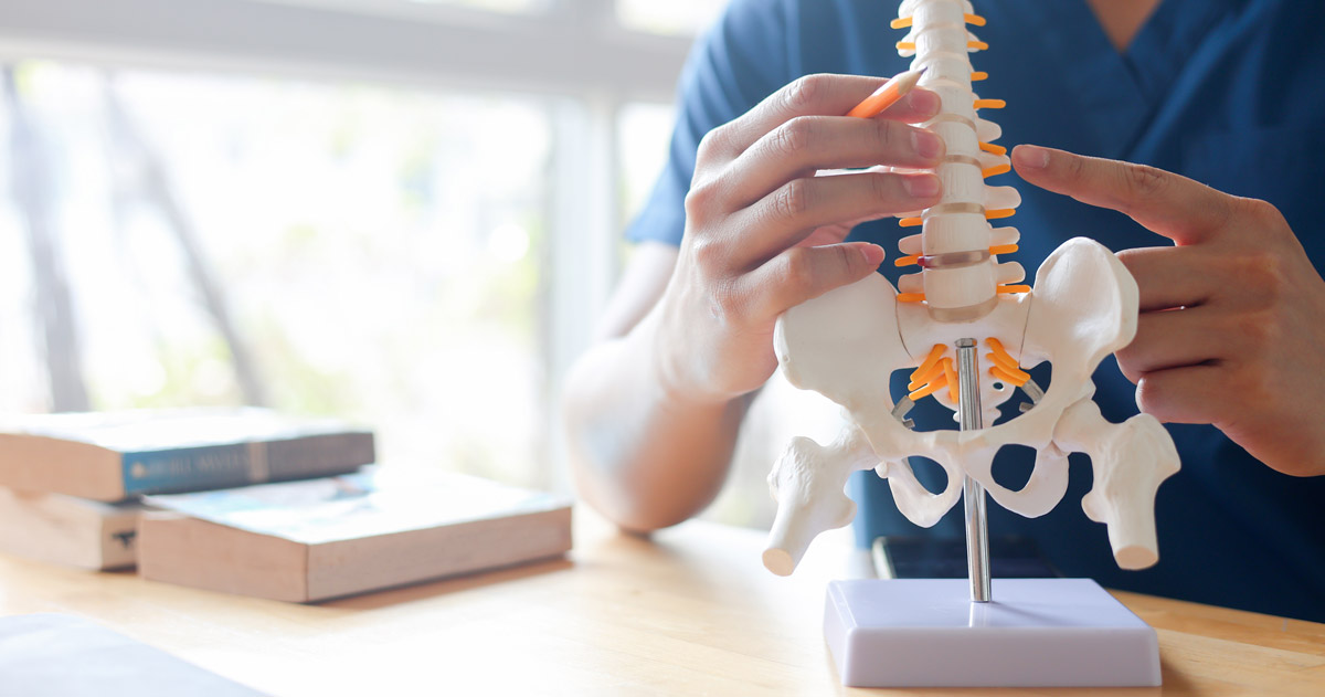How Chiropractic Adjustments Can Alleviate Joint Pain