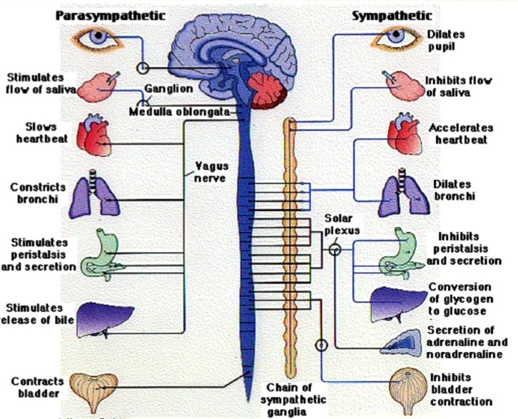 image_2.jpg