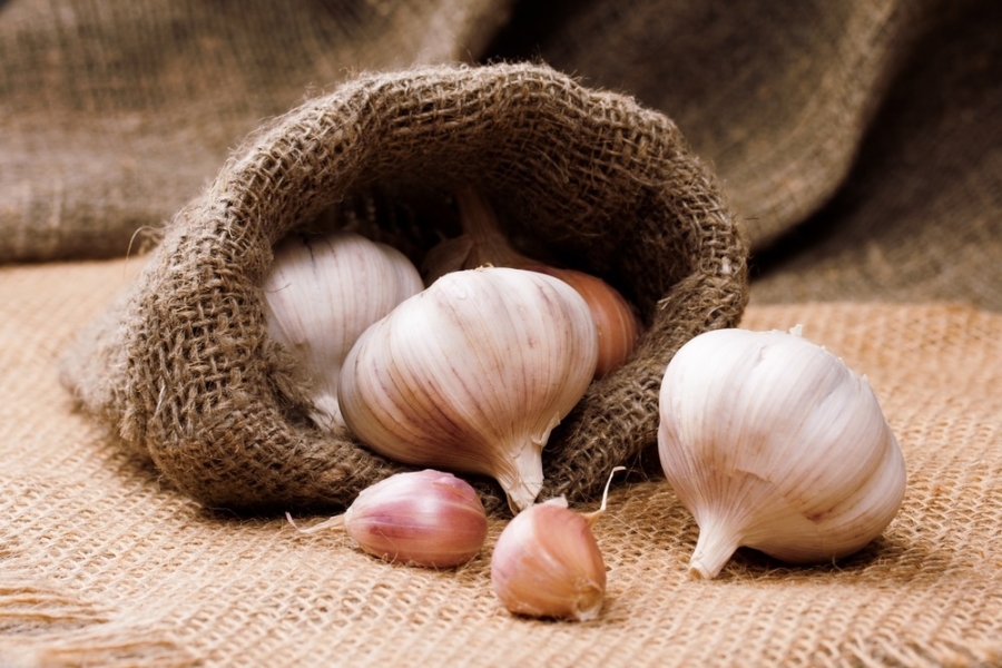 Garlic.jpg